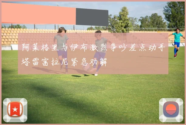 阿莱格里与伊布激烈争吵差点动手塔雷富拉尼紧急劝解