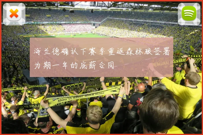 海兰德确认下赛季重返森林狼签署为期一年的底薪合同